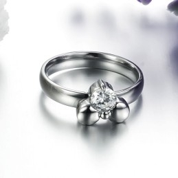 Bekend Om Zijn Hoogwaardige Dames Titanium Ring Met Strass