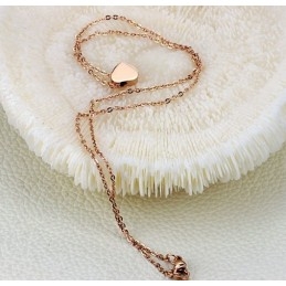 Wereldberoemde Titanium Ketting Met Hartjesmotief