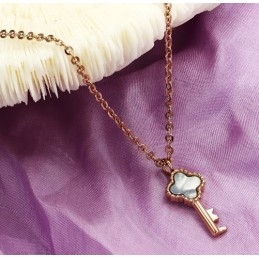 Compleet In Specificaties Vrouwelijke Sleutel Titanium Ketting