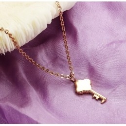 Compleet In Specificaties Vrouwelijke Sleutel Titanium Ketting
