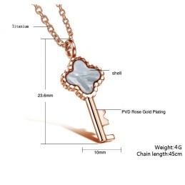 Compleet In Specificaties Vrouwelijke Sleutel Titanium Ketting