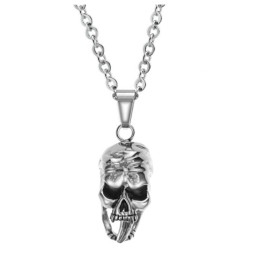 De Koning Van De Hoeveelheid Mannelijke Demon Titanium Ketting