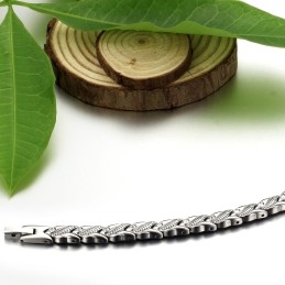 Wereldwijd Bekende Gezondheidsarmband Van Titanium