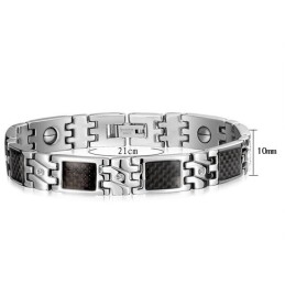 Wereldwijd Bekende Titanium Magneetsteen Armband