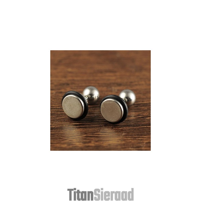 Titanium Oorbellen Voor Heren