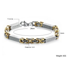 Wereldwijd Bekende Titanium Armband Voor Heren