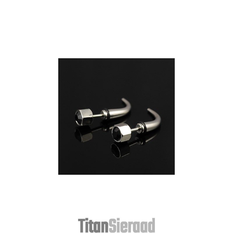 Titanium Oorbellen Voor Heren