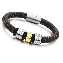 De Koningin Van De Hoogwaardige Bruine Titanium Leren Armband