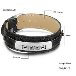 Superieure Kwaliteit Zwarte Titanium Leren Armband