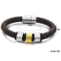 Kwaliteit En Kwantiteit Gegarandeerde Mannelijke Bruine Titanium Leren Armband