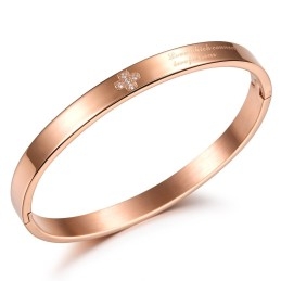 Kwaliteit En Kwantiteit Gegarandeerde Vrouwelijke Titanium Armband