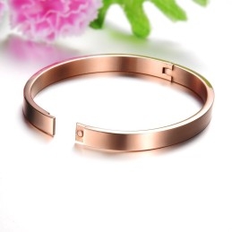 Kwaliteit En Kwantiteit Gegarandeerde Vrouwelijke Titanium Armband