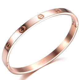 Breed Scala Aan Vrouwelijke Schroeftitanium Armbanden