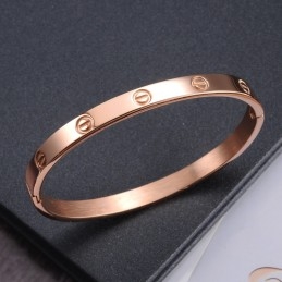 Breed Scala Aan Vrouwelijke Schroeftitanium Armbanden