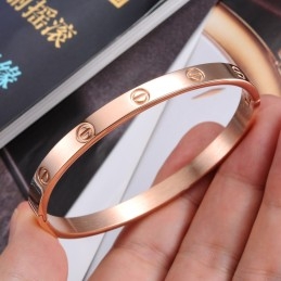 Breed Scala Aan Vrouwelijke Schroeftitanium Armbanden