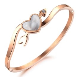 Hoogwaardige Vrouwelijke Sweetheart Titanium Armband