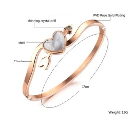 Hoogwaardige Vrouwelijke Sweetheart Titanium Armband