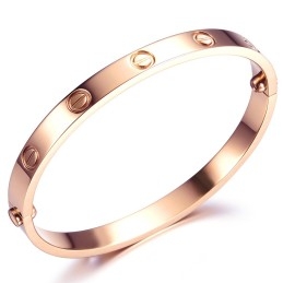 Kwaliteit En Kwantiteit Gegarandeerde Vrouwelijke Schroef Titanium Armband