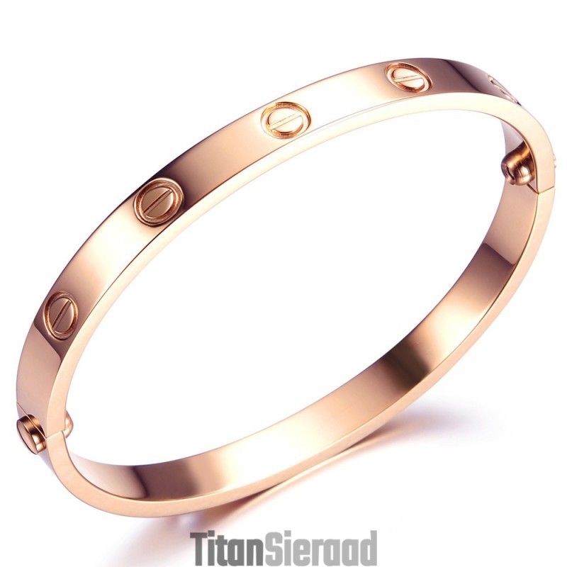 Kwaliteit En Kwantiteit Gegarandeerde Vrouwelijke Schroef Titanium Armband