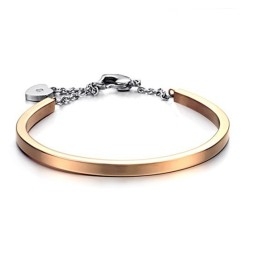 Betrouwbare Kwaliteit Vrouwelijke Slotvorm Titanium Armband