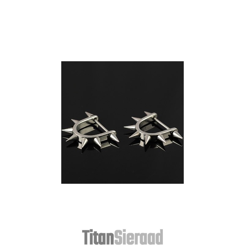Titanium Oorbellen Voor Heren Titanium Oorbellen Voor Heren
