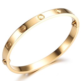 Gebruiksvriendelijke Vrouwelijke Titanium Armband
