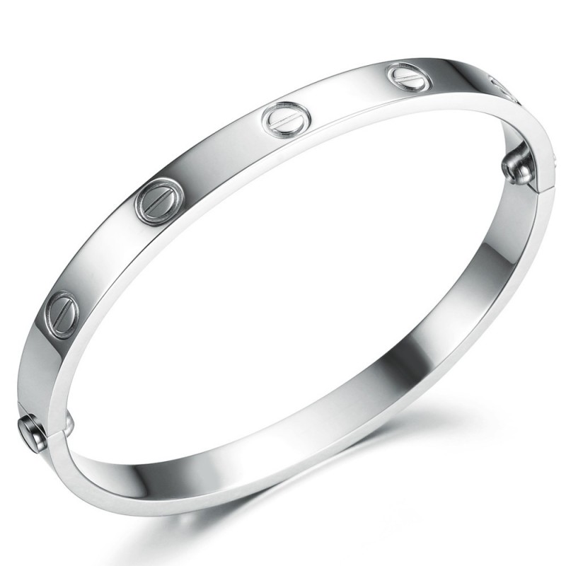 Uitstekende Kwaliteit Dames Klassieke Titanium Armband