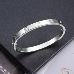 Uitstekende Kwaliteit Dames Klassieke Titanium Armband