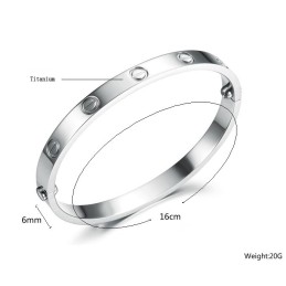 Uitstekende Kwaliteit Dames Klassieke Titanium Armband
