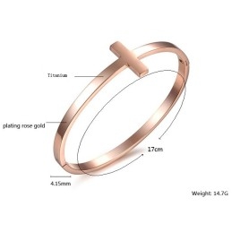 De Koningin Van Hoogwaardige Titanium Armbanden Voor Dames