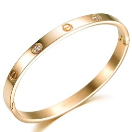 Stabiele Kwaliteit Vrouwelijke Titanium Armband Met Diamant