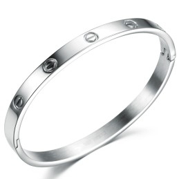 Kwaliteit En Kwantiteit Gegarandeerde Vrouwelijke Titanium Armband