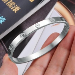 Kwaliteit En Kwantiteit Gegarandeerde Vrouwelijke Titanium Armband