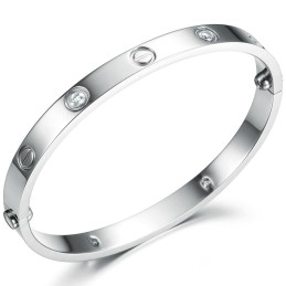 Hoogwaardige Vrouwelijke Titanium Armband