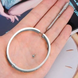 Hoogwaardige Vrouwelijke Titanium Armband