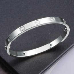 Hoogwaardige Vrouwelijke Titanium Armband