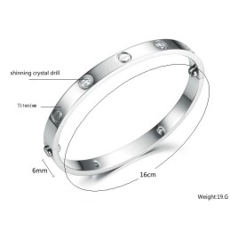 Hoogwaardige Vrouwelijke Titanium Armband