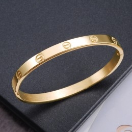 De Koningin Van Hoogwaardige Titanium Armbanden Voor Dames