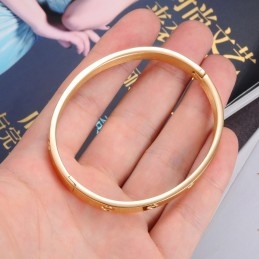 De Koningin Van Hoogwaardige Titanium Armbanden Voor Dames