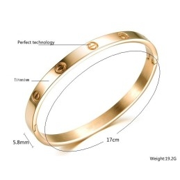 De Koningin Van Hoogwaardige Titanium Armbanden Voor Dames