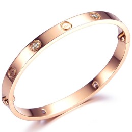 Om Een Lang Verhaal Te Hebben: Een Vrouwelijke Titanium Armband Met Strass