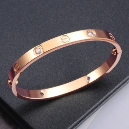 Om Een Lang Verhaal Te Hebben: Een Vrouwelijke Titanium Armband Met Strass