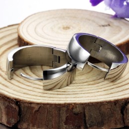 Compleet In Specificaties Vrouwelijke Titanium Oorbellen