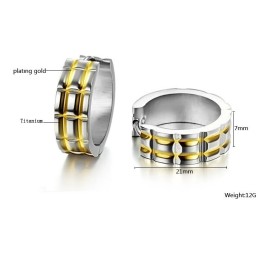 Stabiele Kwaliteit Unisex Titanium Oorbellen