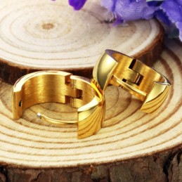 De Koningin Van Hoogwaardige Titanium Oorbellen Voor Dames