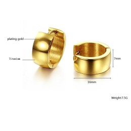 De Koningin Van Hoogwaardige Titanium Oorbellen Voor Dames