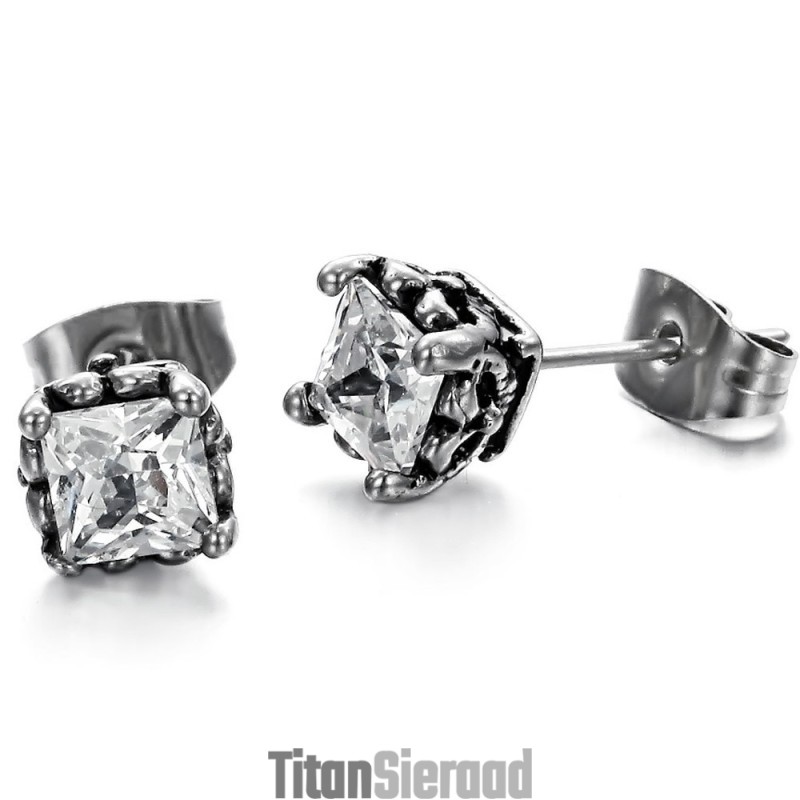 Stabiele Kwaliteit Unisex Titanium Oorbellen Met Diamant