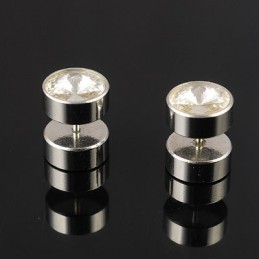 Titanium Oorbellen Voor Heren
