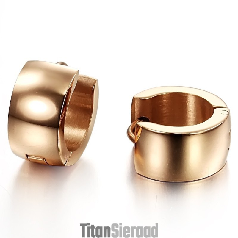Hoogwaardige Titanium Oorbellen Voor Dames Hoogwaardige Titanium Oorbellen Voor Dames