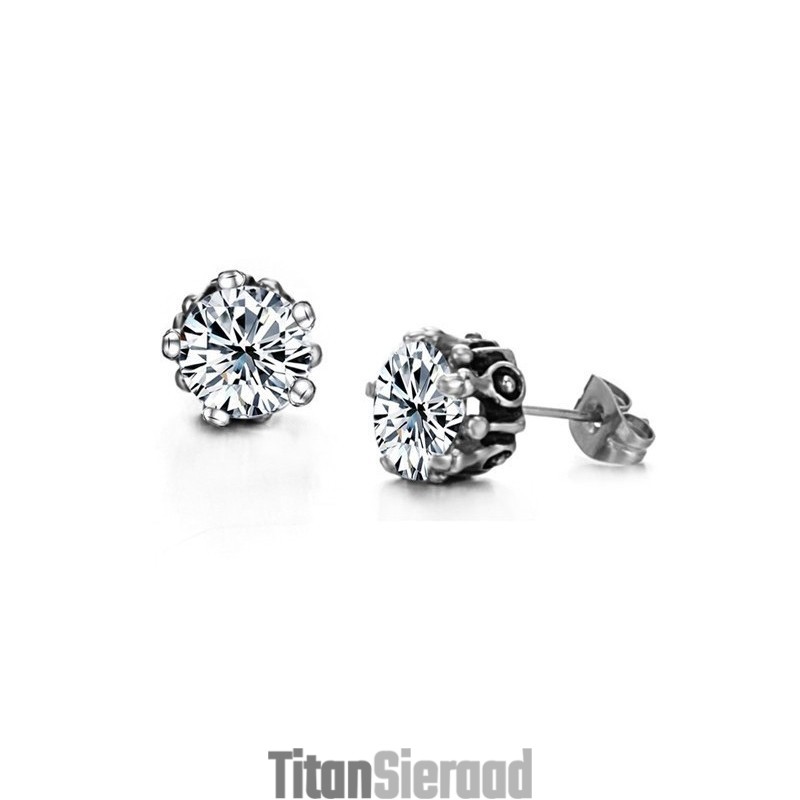 Uitstekende Kwaliteit Vrouwelijke Witte Titanium Oorbellen Met Strass Uitstekende Kwaliteit Vrouwelijke Witte Titanium Oorbellen Met Strass